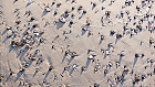 Bild: Sand Steine Muscheln 02 – Klick zum Vergrößern