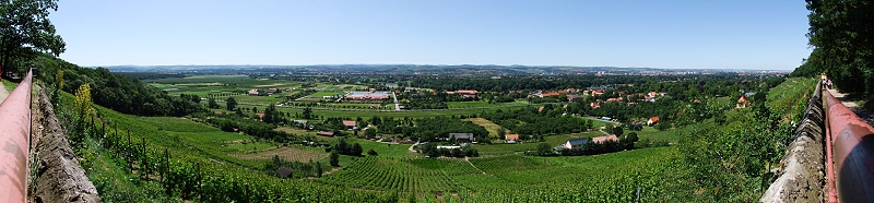 Dresden: Weinberge von Hosterwitz (Deutschland)