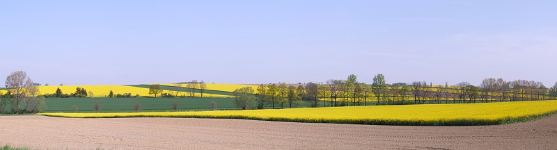 Schmorren (Deutschland)