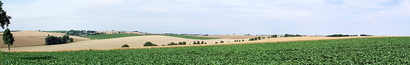 Lommatzscher Pflege (Deutschland)