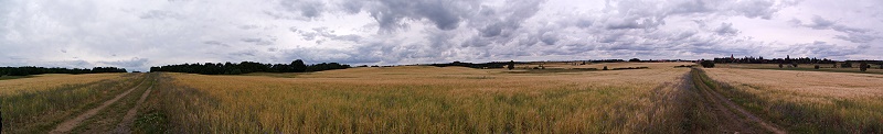 Moritzburg: Feld (Deutschland)